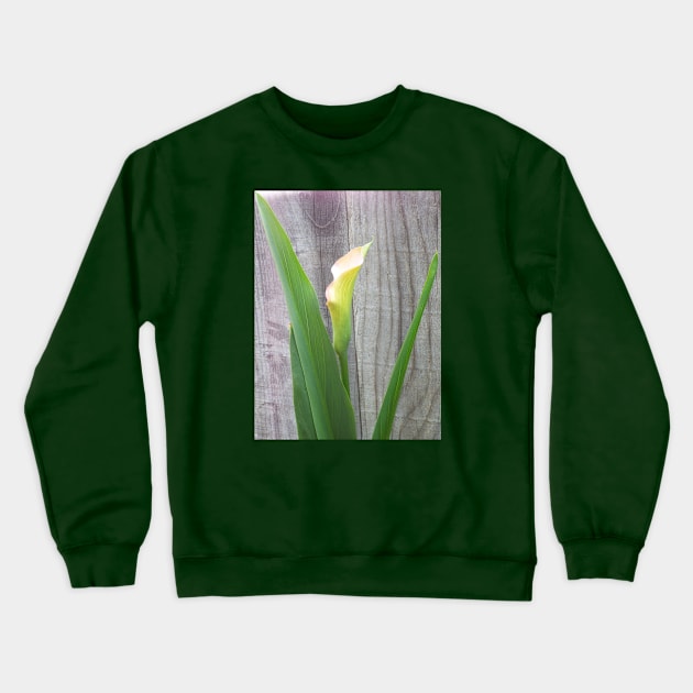 Beautiful Single Calla Lily Crewneck Sweatshirt by HutzcraftDesigns